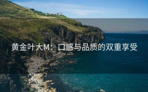 黄金叶大M：口感与品质的双重享受
