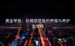 黄金甲鱼：珍稀观赏鱼的养殖与养护全攻略
