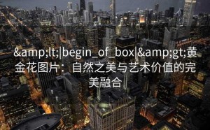 <|begin_of_box|>黄金花图片：自然之美与艺术价值的完美融合