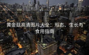 黄金菇高清图片大全：形态、生长与食用指南