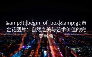 &lt;|begin_of_box|&gt;黄金花图片：自然之美与艺术价值的完美融合