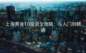 上海黄金TD投资全攻略：从入门到精通