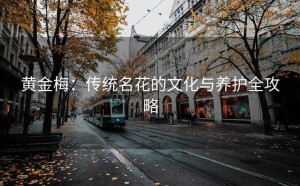 黄金梅：传统名花的文化与养护全攻略