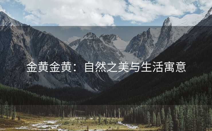 金黄金黄：自然之美与生活寓意