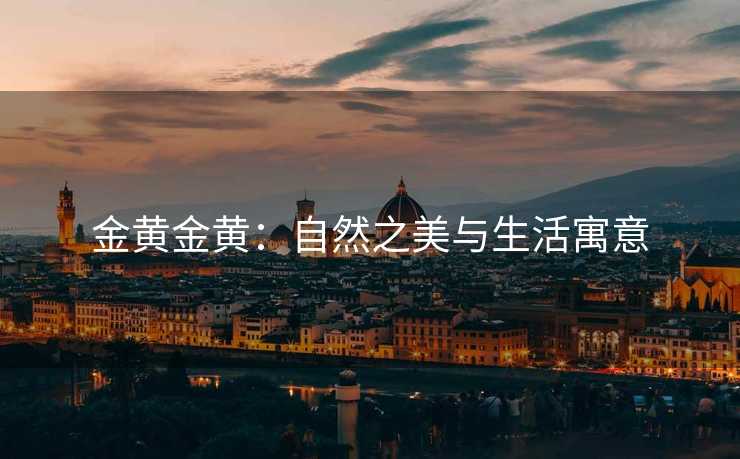 金黄金黄：自然之美与生活寓意