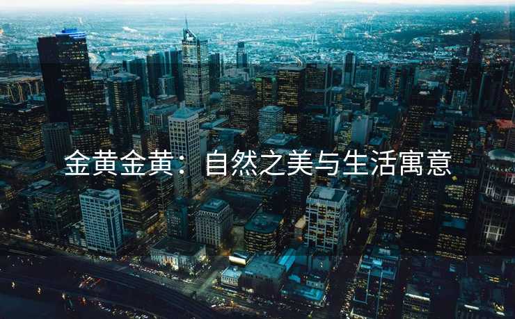 金黄金黄：自然之美与生活寓意
