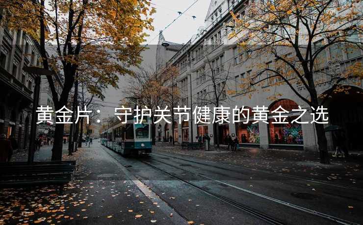 黄金片：守护关节健康的黄金之选