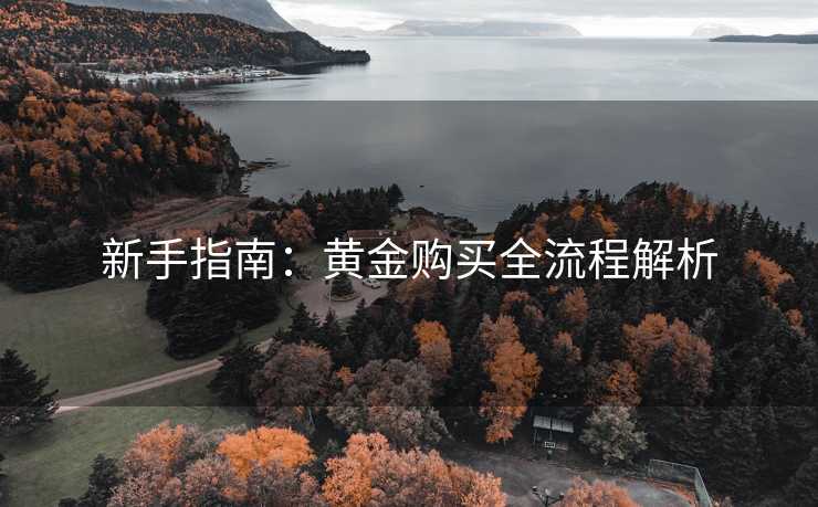 新手指南：黄金购买全流程解析