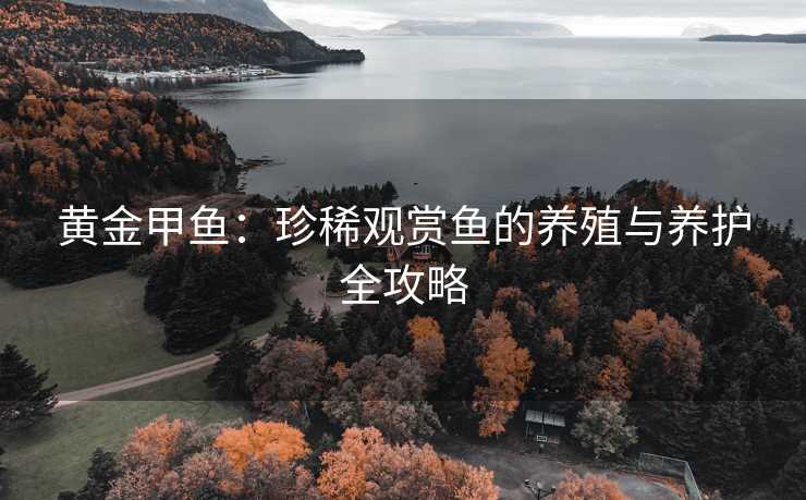黄金甲鱼：珍稀观赏鱼的养殖与养护全攻略