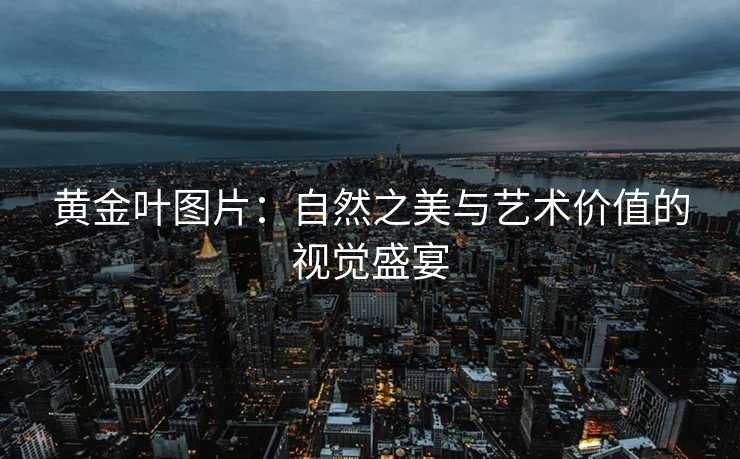 黄金叶图片：自然之美与艺术价值的视觉盛宴