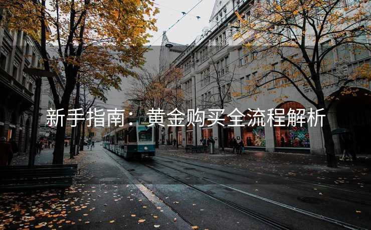 新手指南：黄金购买全流程解析