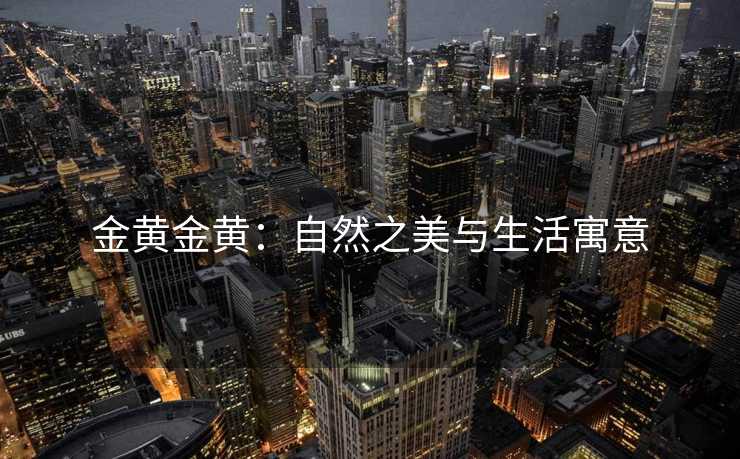 金黄金黄：自然之美与生活寓意