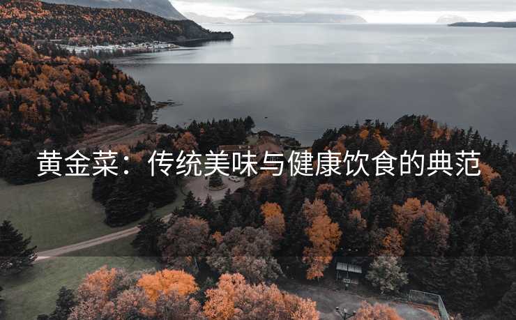 黄金菜：传统美味与健康饮食的典范