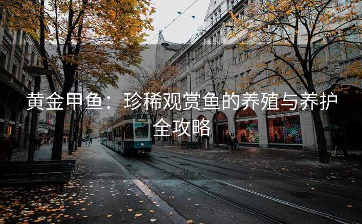 黄金甲鱼：珍稀观赏鱼的养殖与养护全攻略