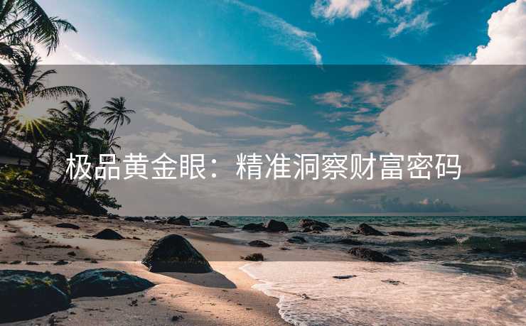 极品黄金眼：精准洞察财富密码