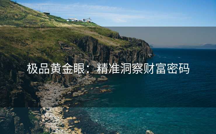 极品黄金眼：精准洞察财富密码