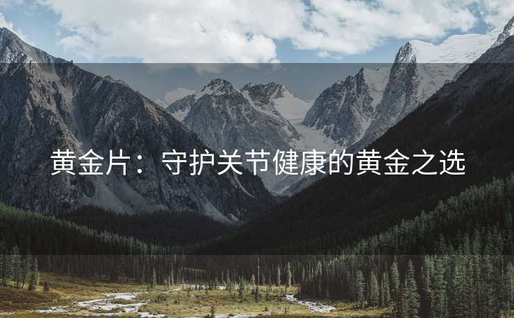 黄金片：守护关节健康的黄金之选