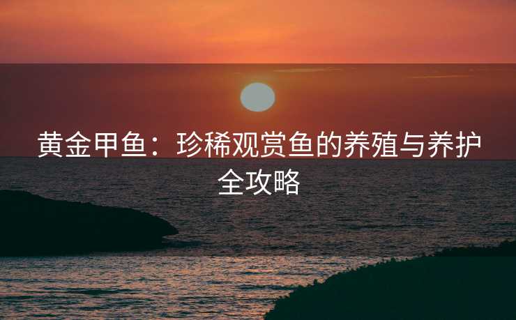 黄金甲鱼：珍稀观赏鱼的养殖与养护全攻略