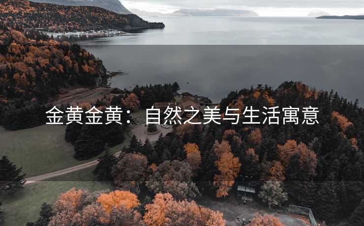 金黄金黄：自然之美与生活寓意