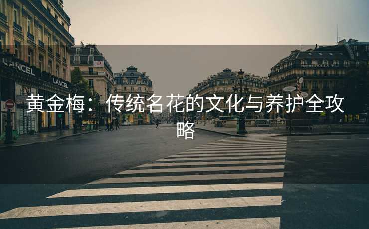 黄金梅：传统名花的文化与养护全攻略