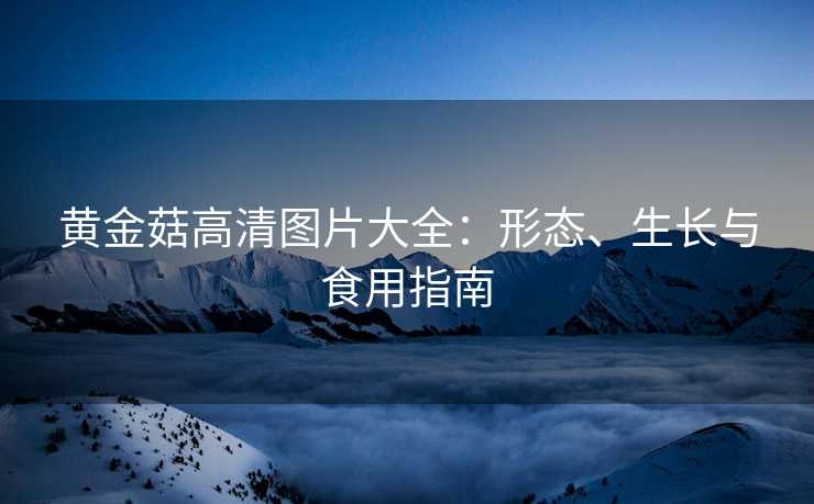 黄金菇高清图片大全：形态、生长与食用指南