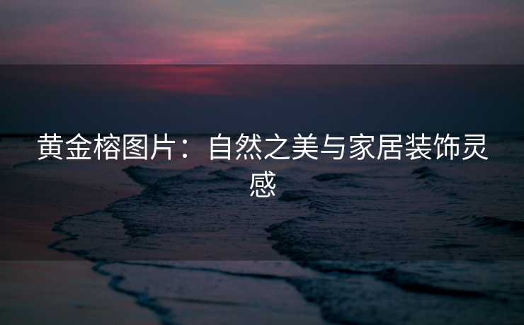 黄金榕图片:自然之美与家居装饰灵感 黄金榕图片:自然之美与家居装饰灵感