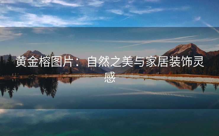 黄金榕图片:自然之美与家居装饰灵感 黄金榕图片:自然之美与家居装饰灵感