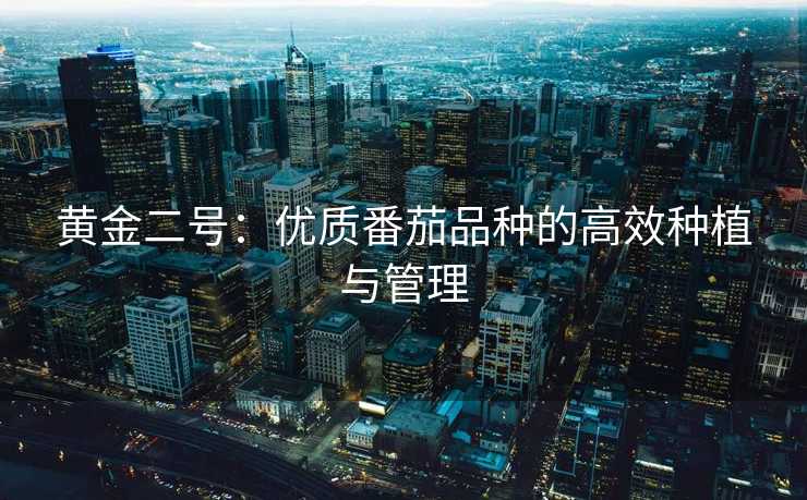 黄金二号:优质番茄品种的高效种植与管理 黄金二号:优质番茄品种的高效种植与管理