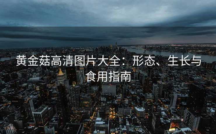 黄金菇高清图片大全：形态、生长与食用指南