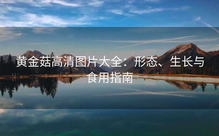 黄金菇高清图片大全：形态、生长与食用指南