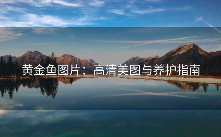 黄金鱼图片：高清美图与养护指南