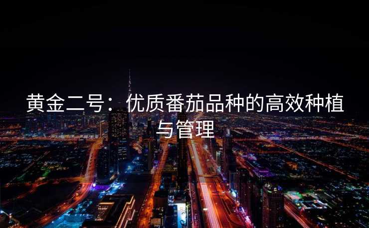 黄金二号：优质番茄品种的高效种植与管理