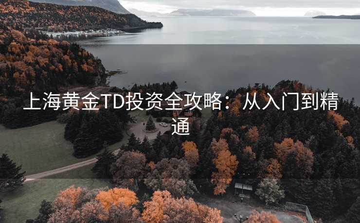 上海黄金TD投资全攻略：从入门到精通