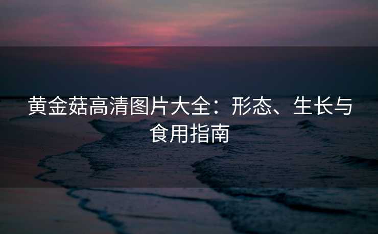 黄金菇高清图片大全：形态、生长与食用指南