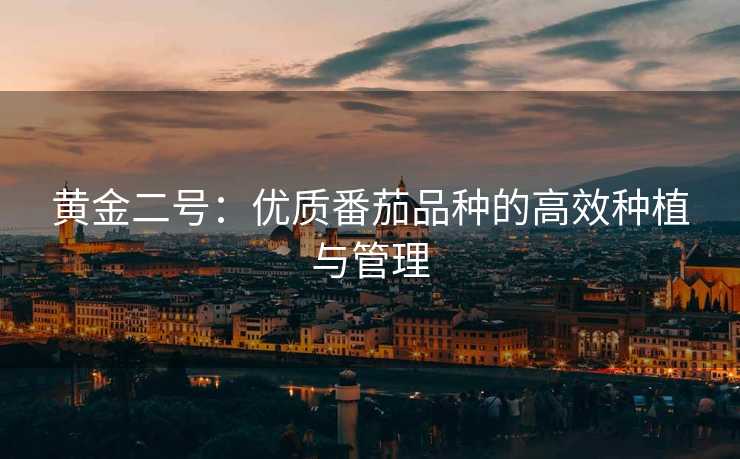 黄金二号：优质番茄品种的高效种植与管理