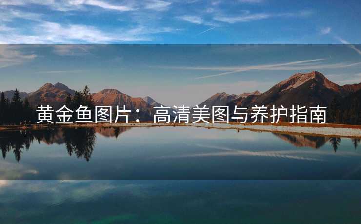 黄金鱼图片：高清美图与养护指南